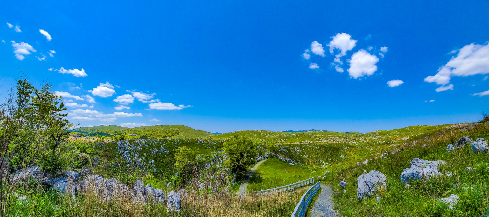 秋吉台の風景の画像